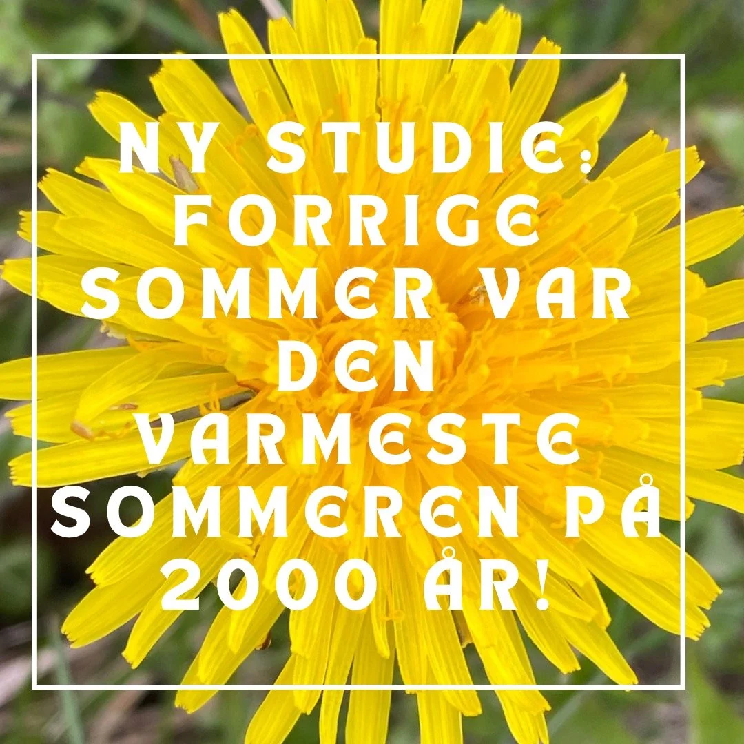 Varmeste sommer på 2000 år!