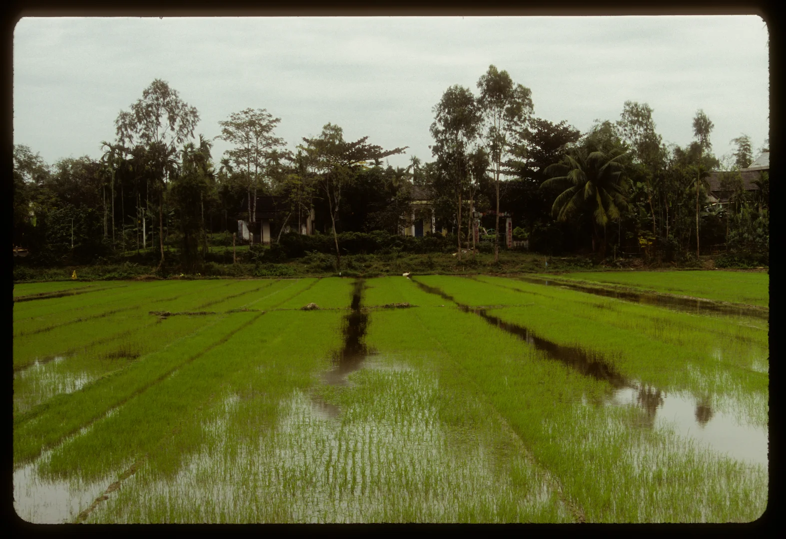 Hoi An, Vietnam 2013