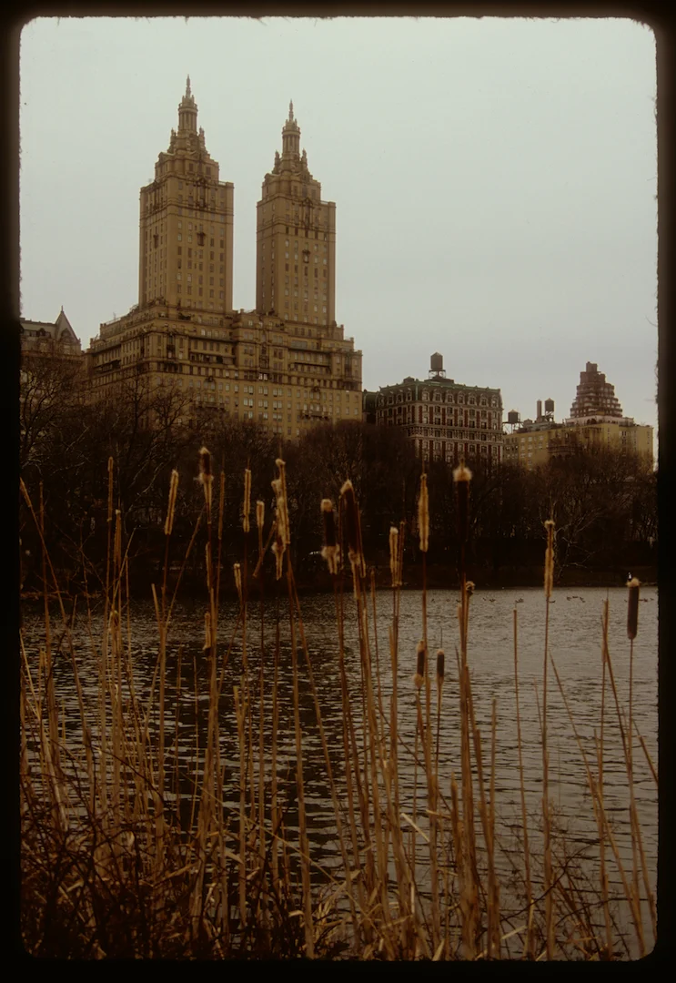 Central Park, New York NY 2014