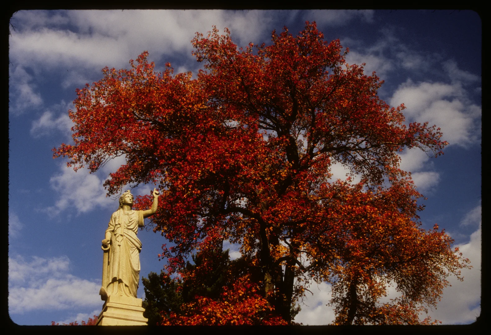 Greenwood Cemetery, Brooklyn NY 2013