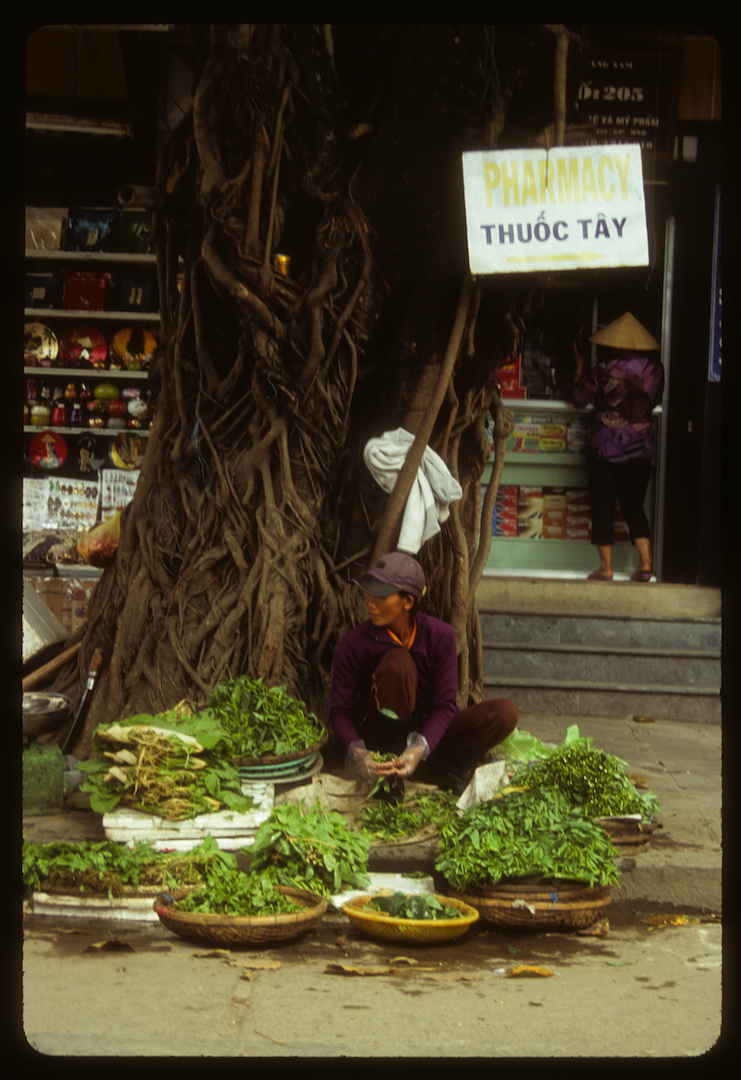 Hoi An, Vietnam 2013