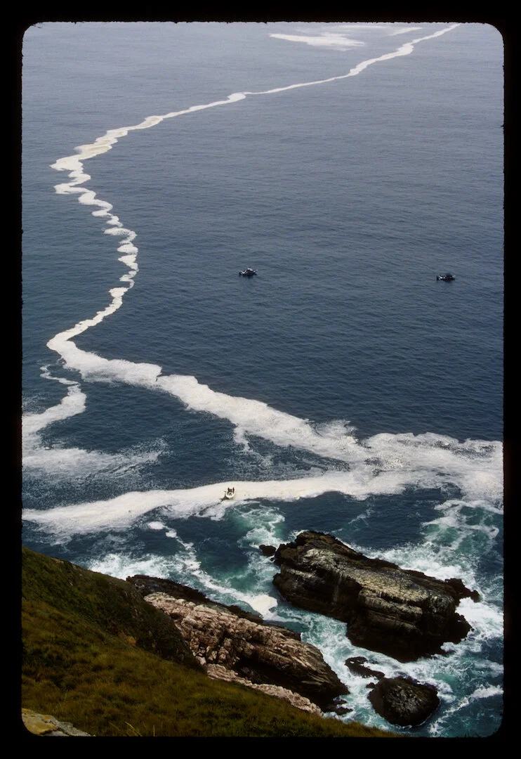 Point Reyes, California 2011