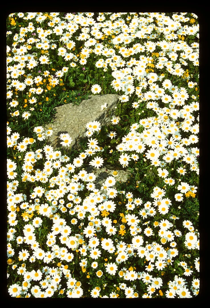 Pergamum, Turkey 2011