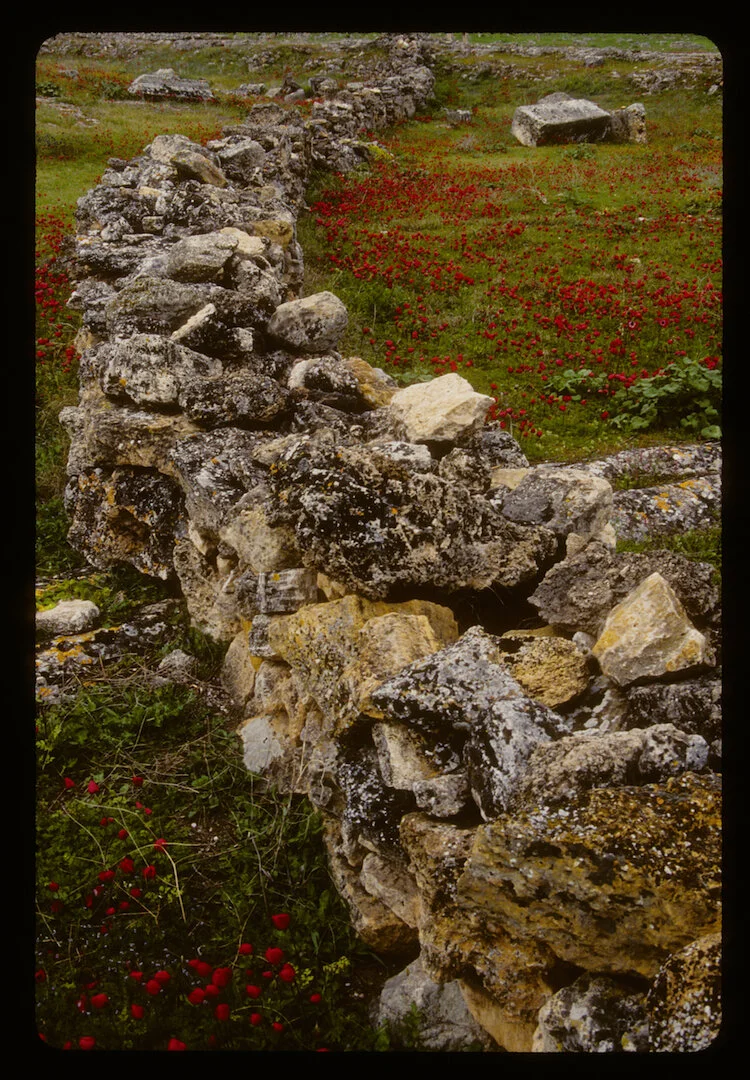 Pamukkale, Turkey 2011