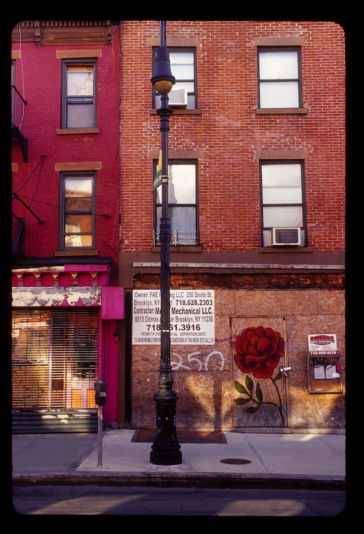 Carroll Gardens, Brooklyn NY 2010