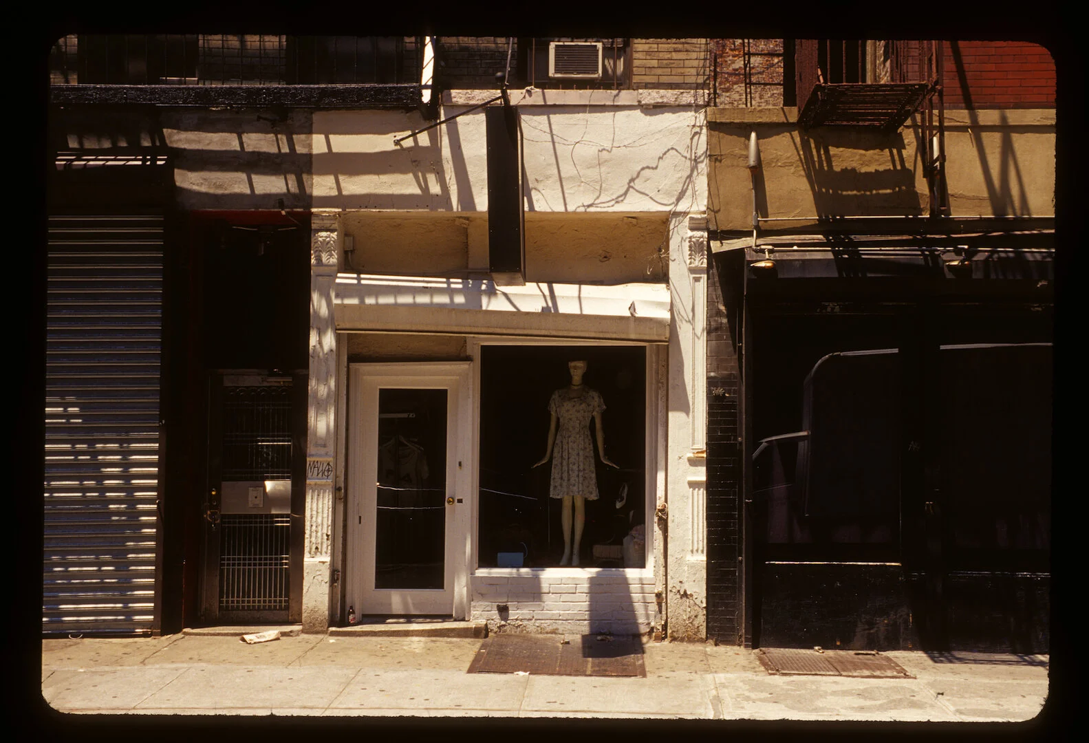Carroll Gardens, Brooklyn NY 2010