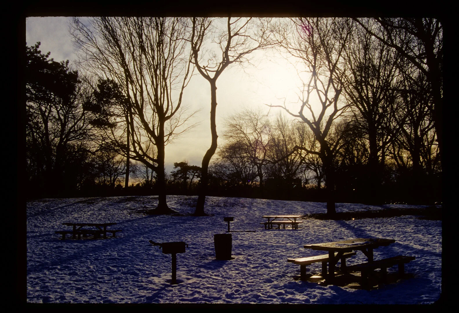 Prospect Park, Brooklyn NY 2010