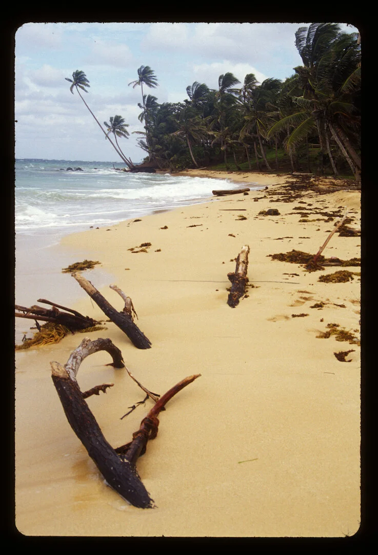 Little Corn Island, Nicaragua 2010