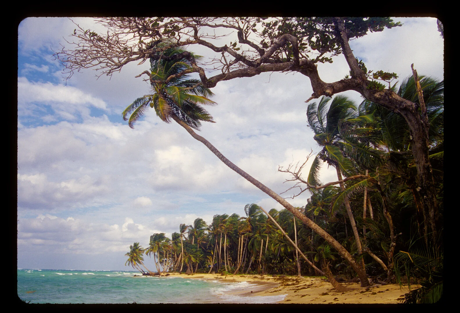 Little Corn Island, Nicaragua 2010