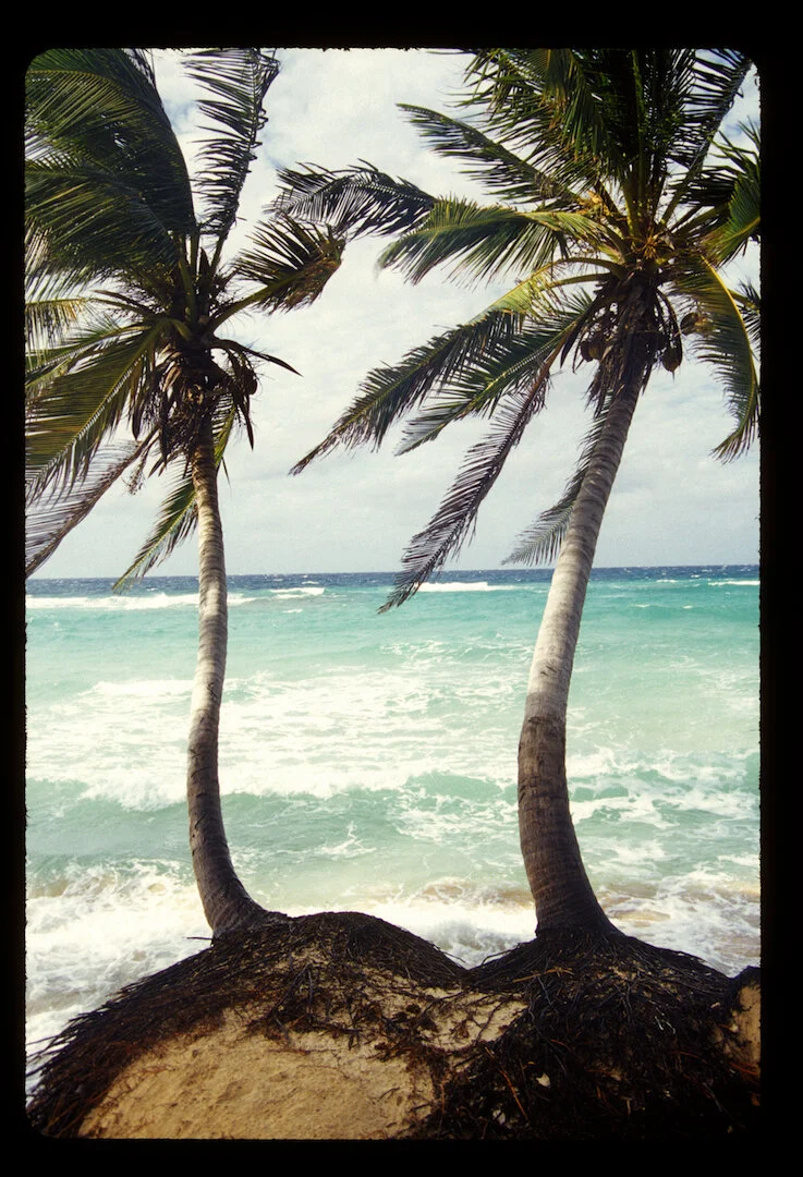 Little Corn Island, Nicaragua 2010