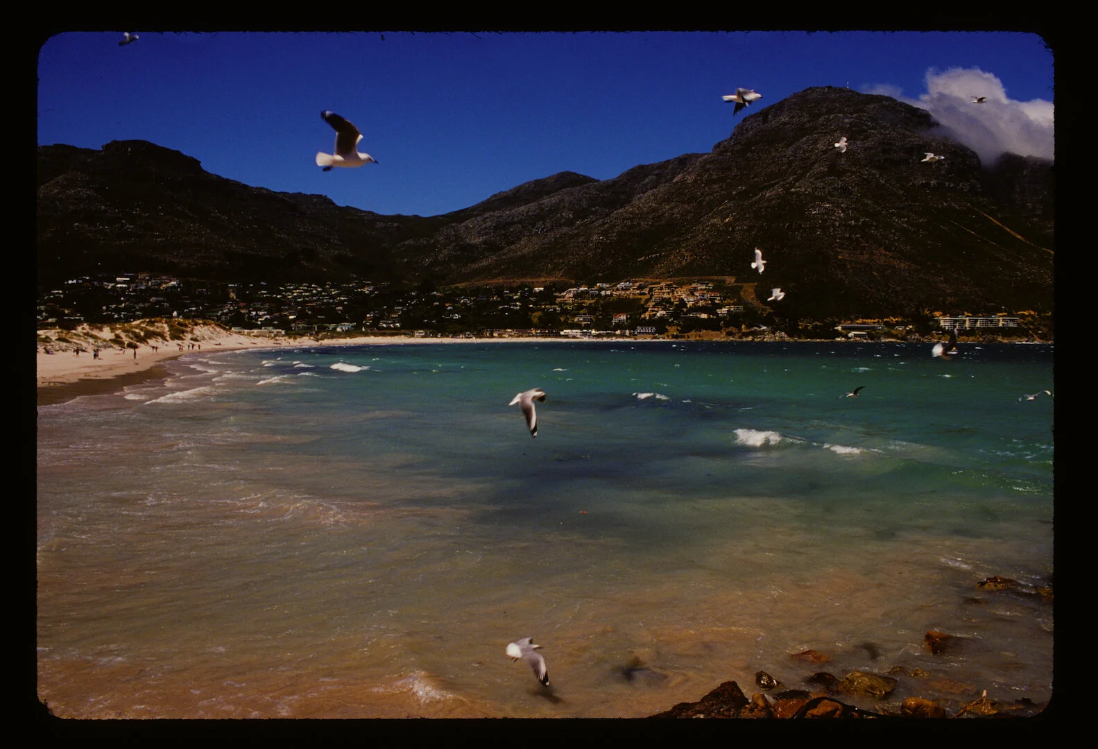 Cape Town, South Africa 2008