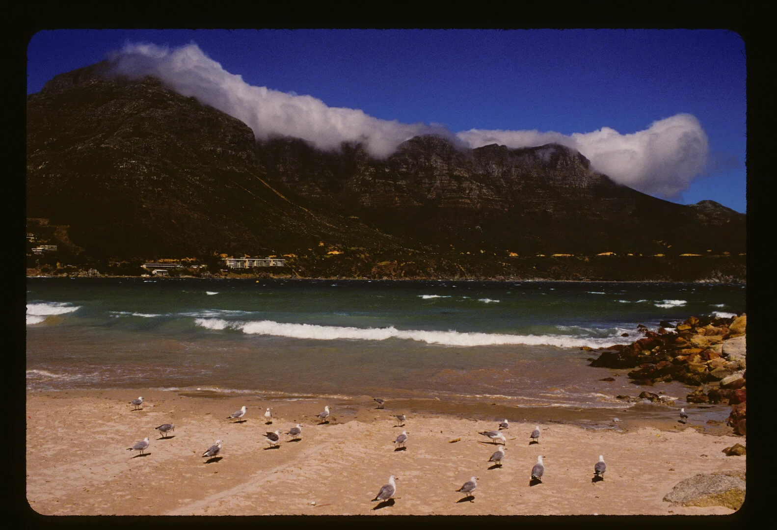 Cape Town, South Africa 2008