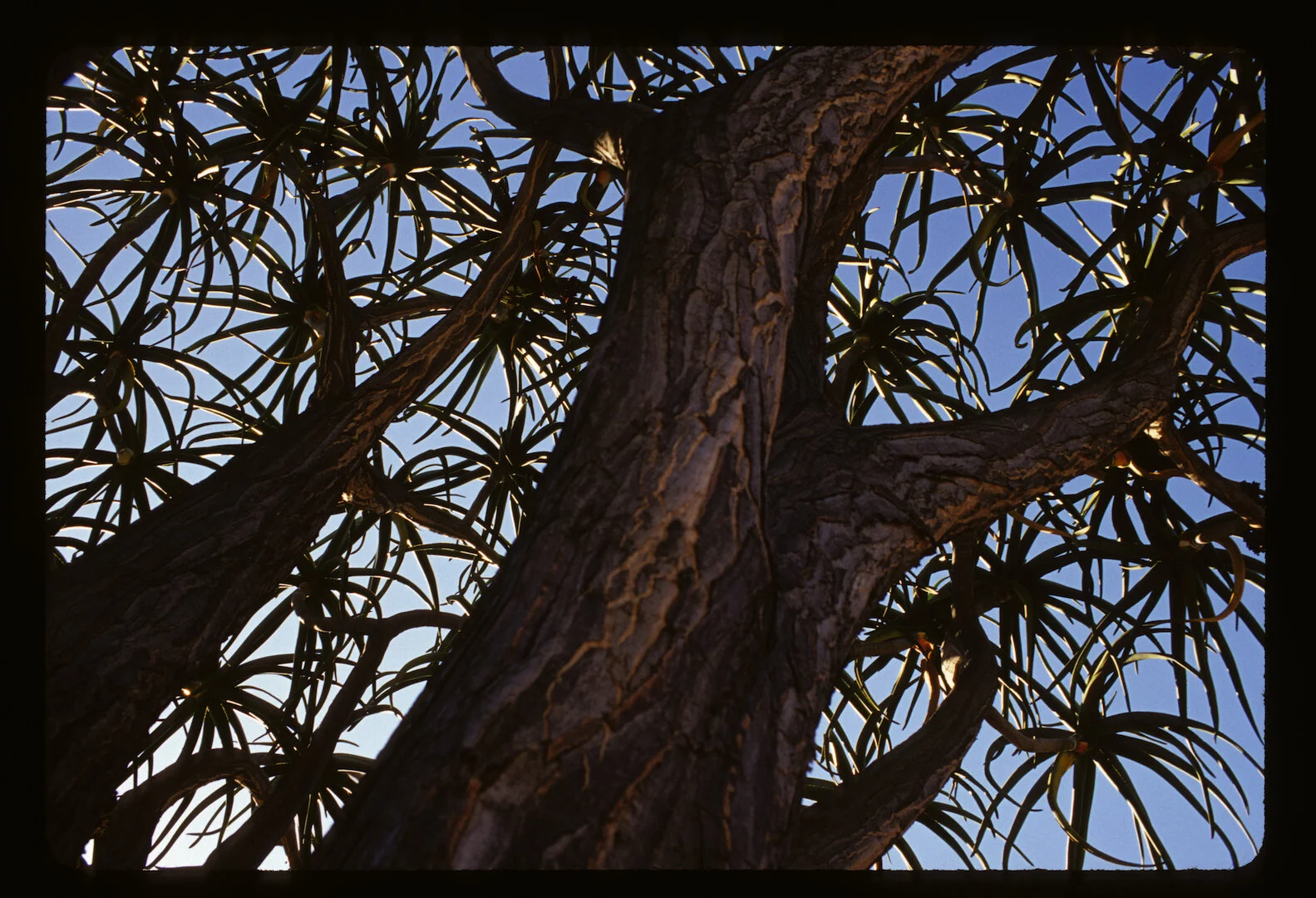 Cape Town, South Africa 2008