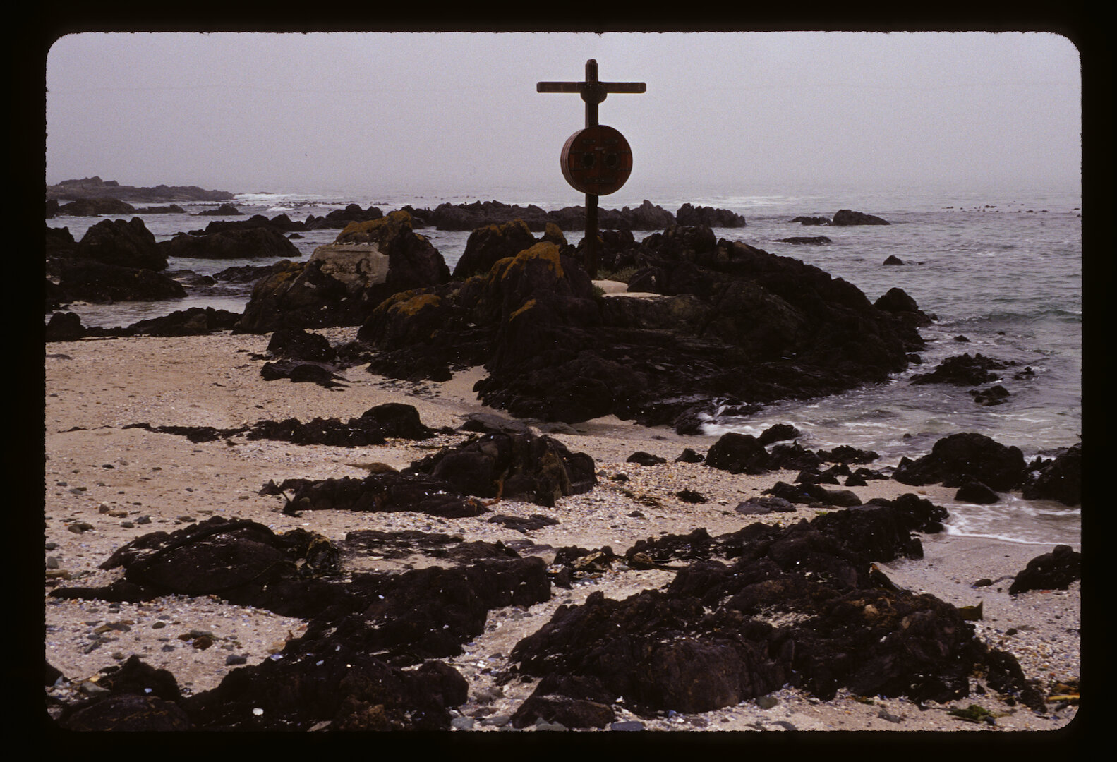 Cape Peninsula, South Africa 2008