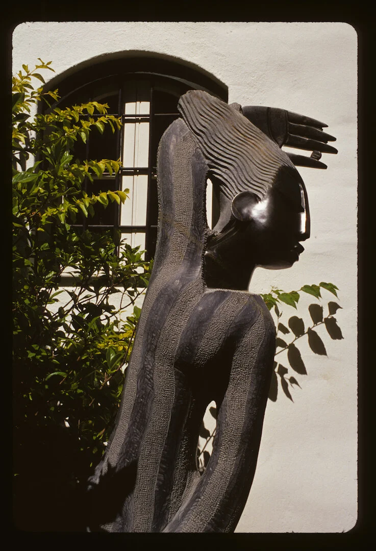 Winelands, South Africa 2008