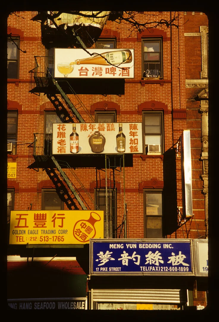 Chinatown, New York NY 2008