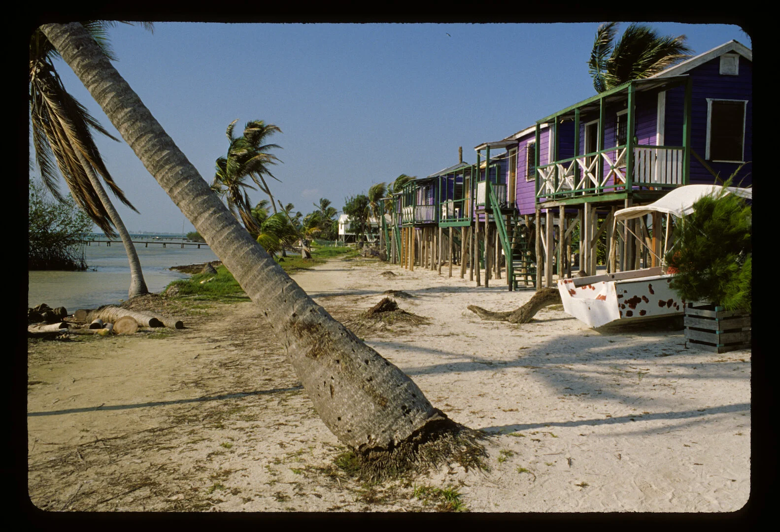 Caye Caulker, Belize 2001