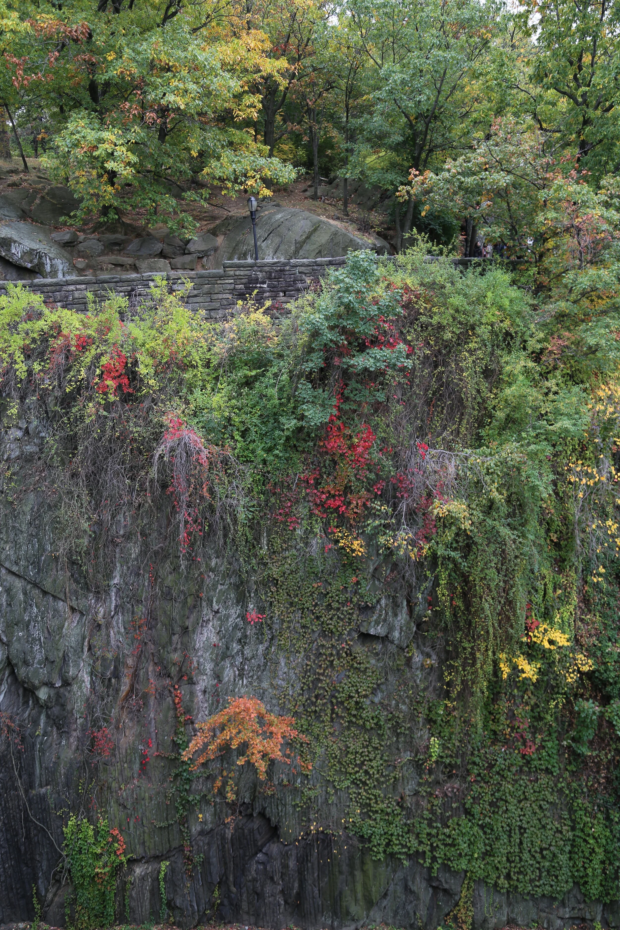 Fort Tryon Park, New York NY 2015