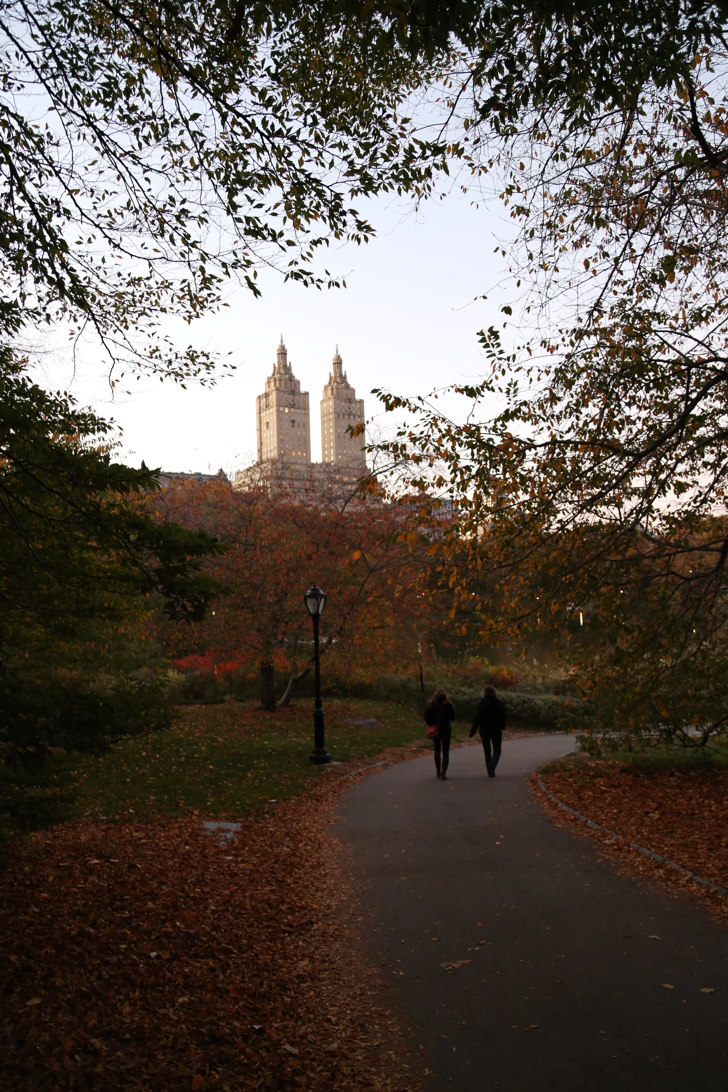 Central Park, New York NY 2015