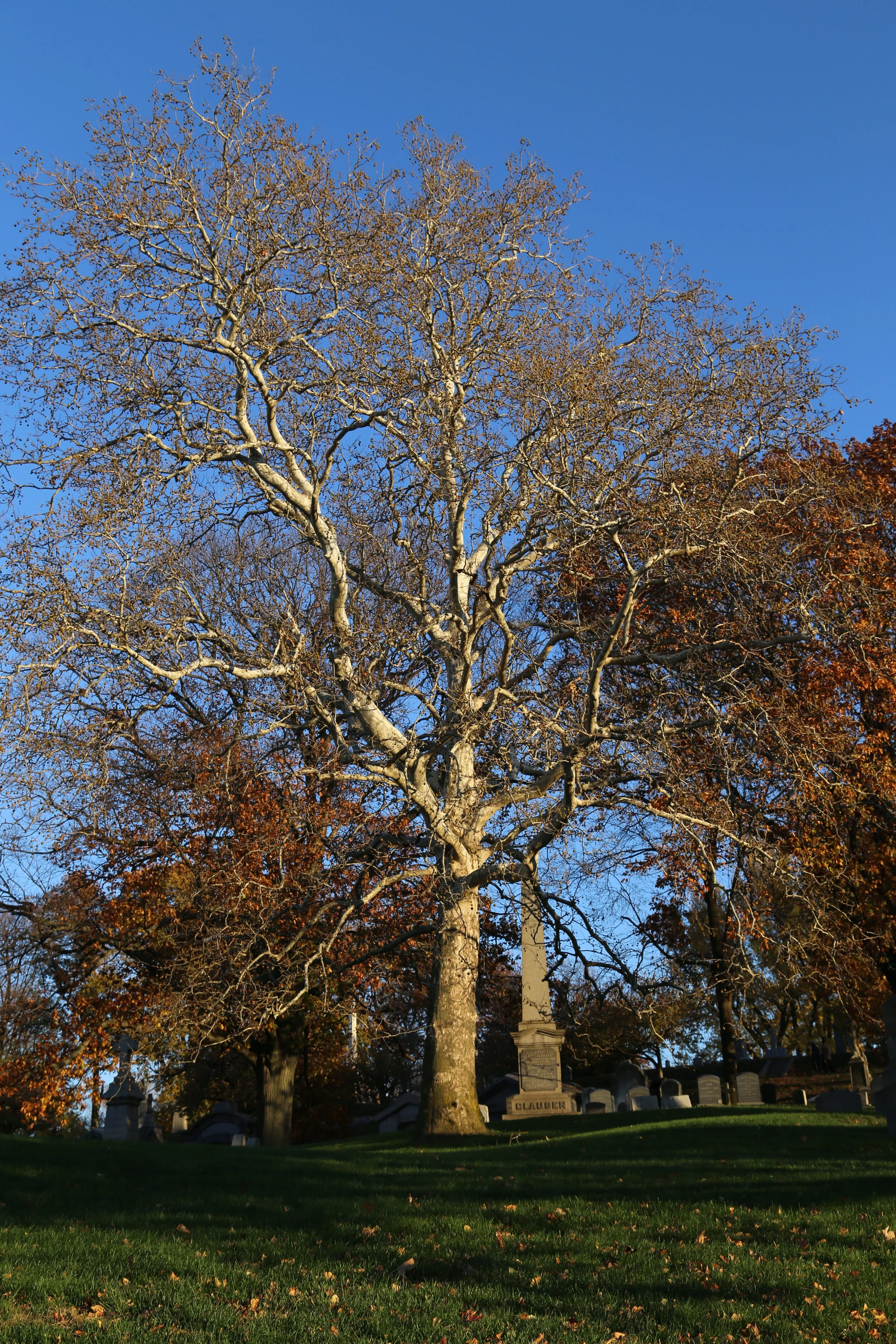 Green-wood Cemetery, Brooklyn NY 2015