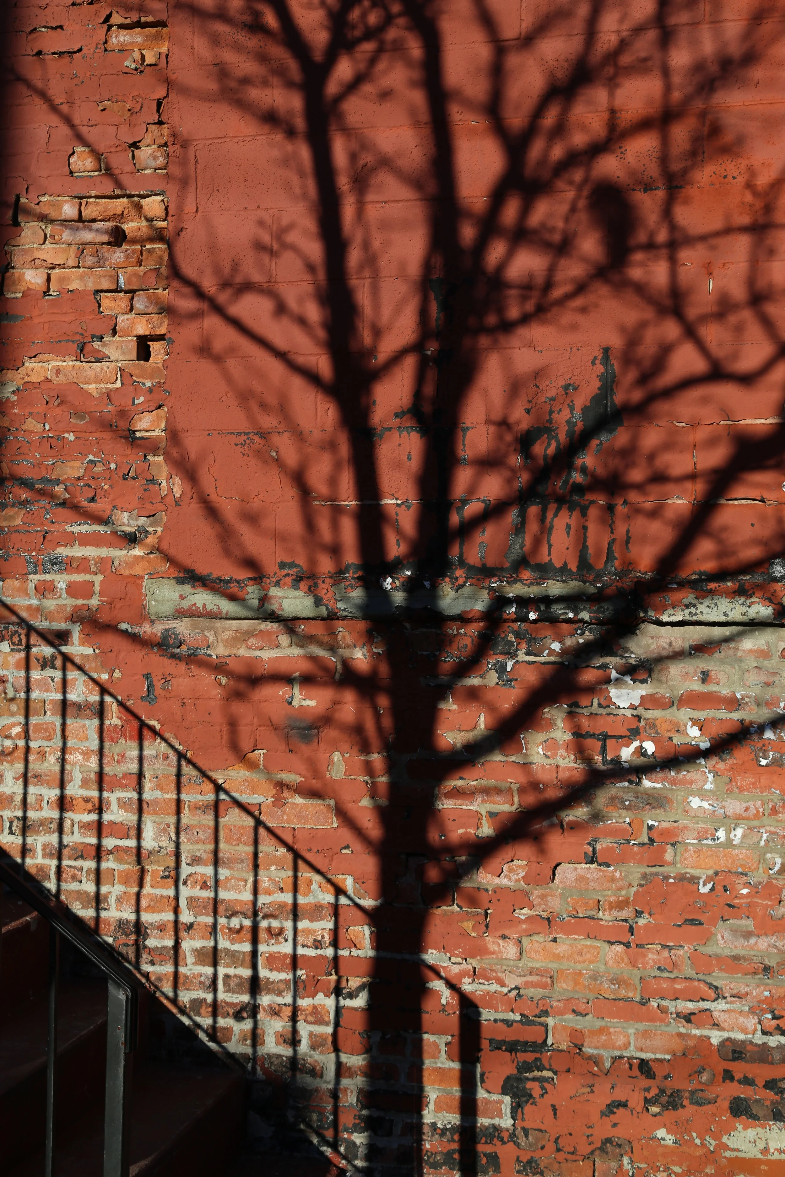 Red Hook, Brooklyn NY 2016