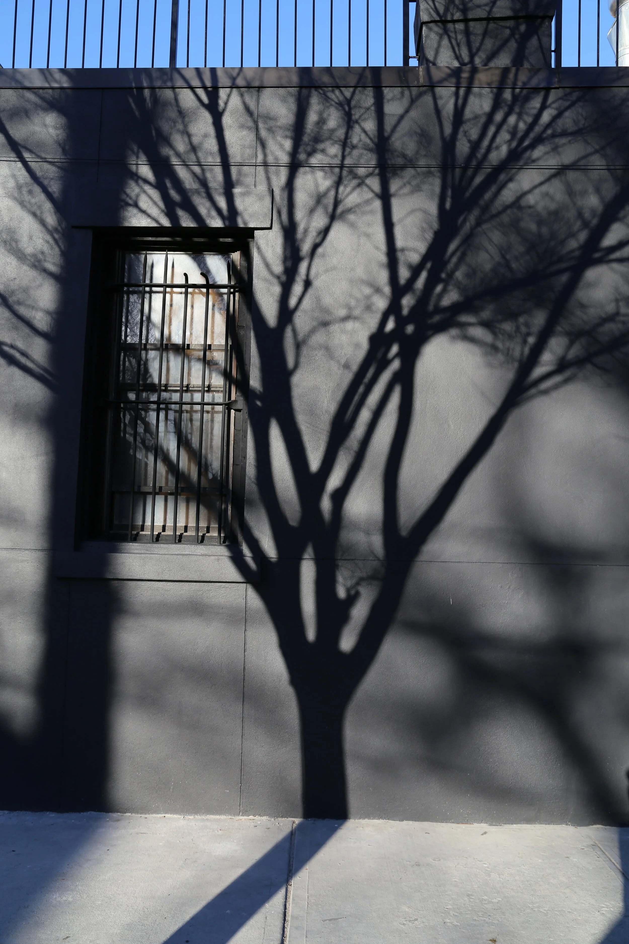 Red Hook, Brooklyn NY 2016