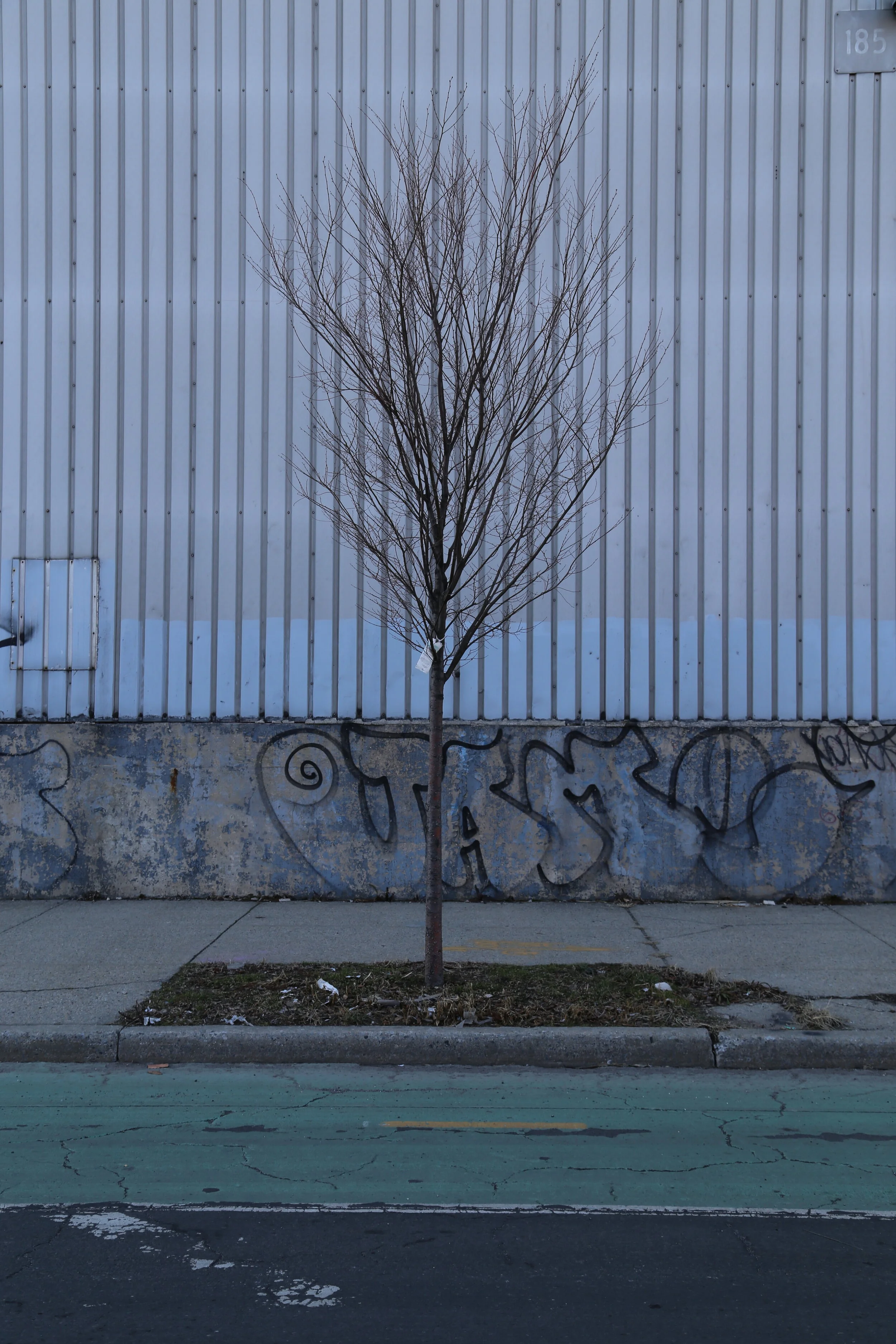 Red Hook, Brooklyn NY 2016