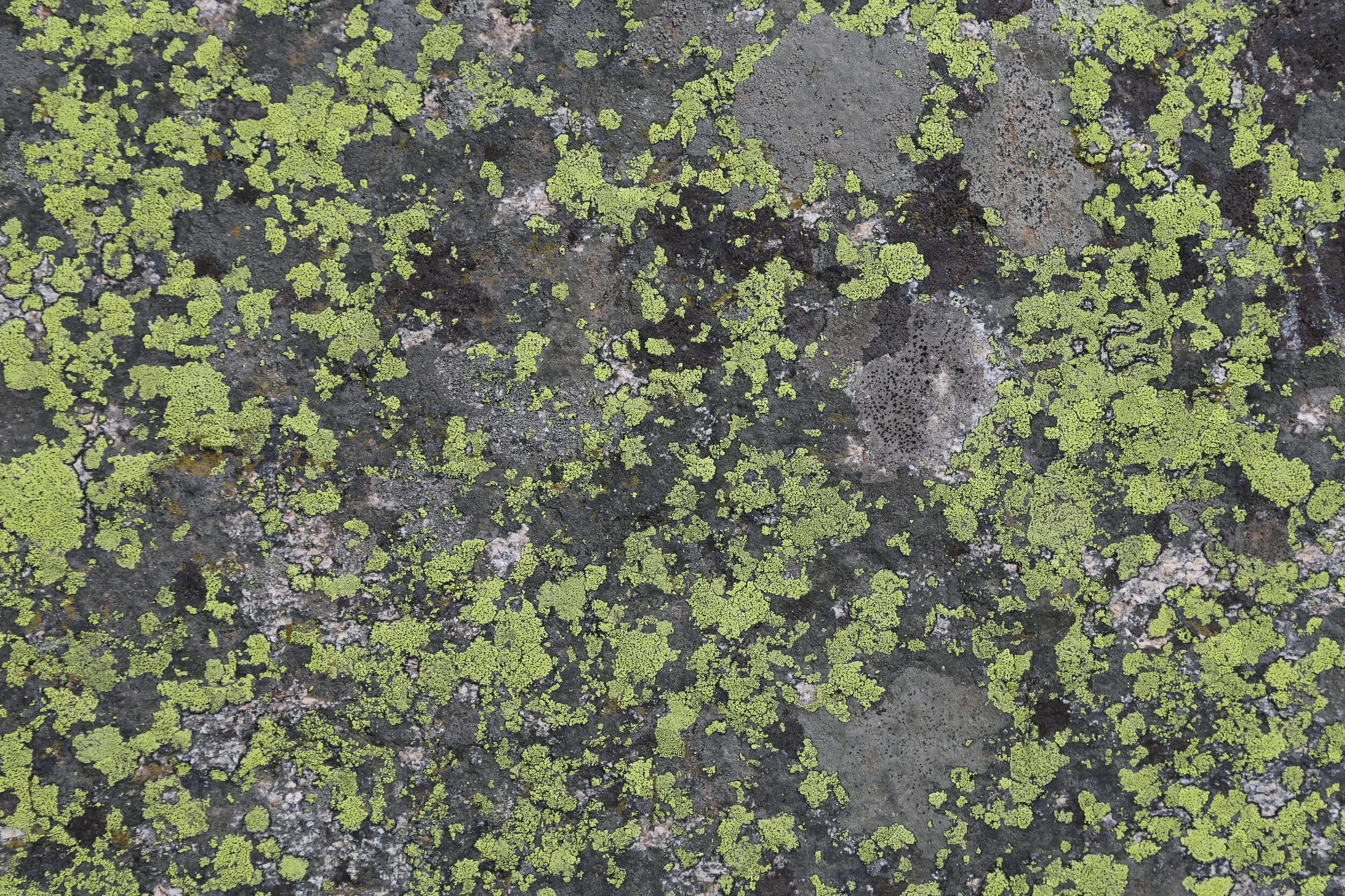 Rocky Mountain National Park, Colorado 2019