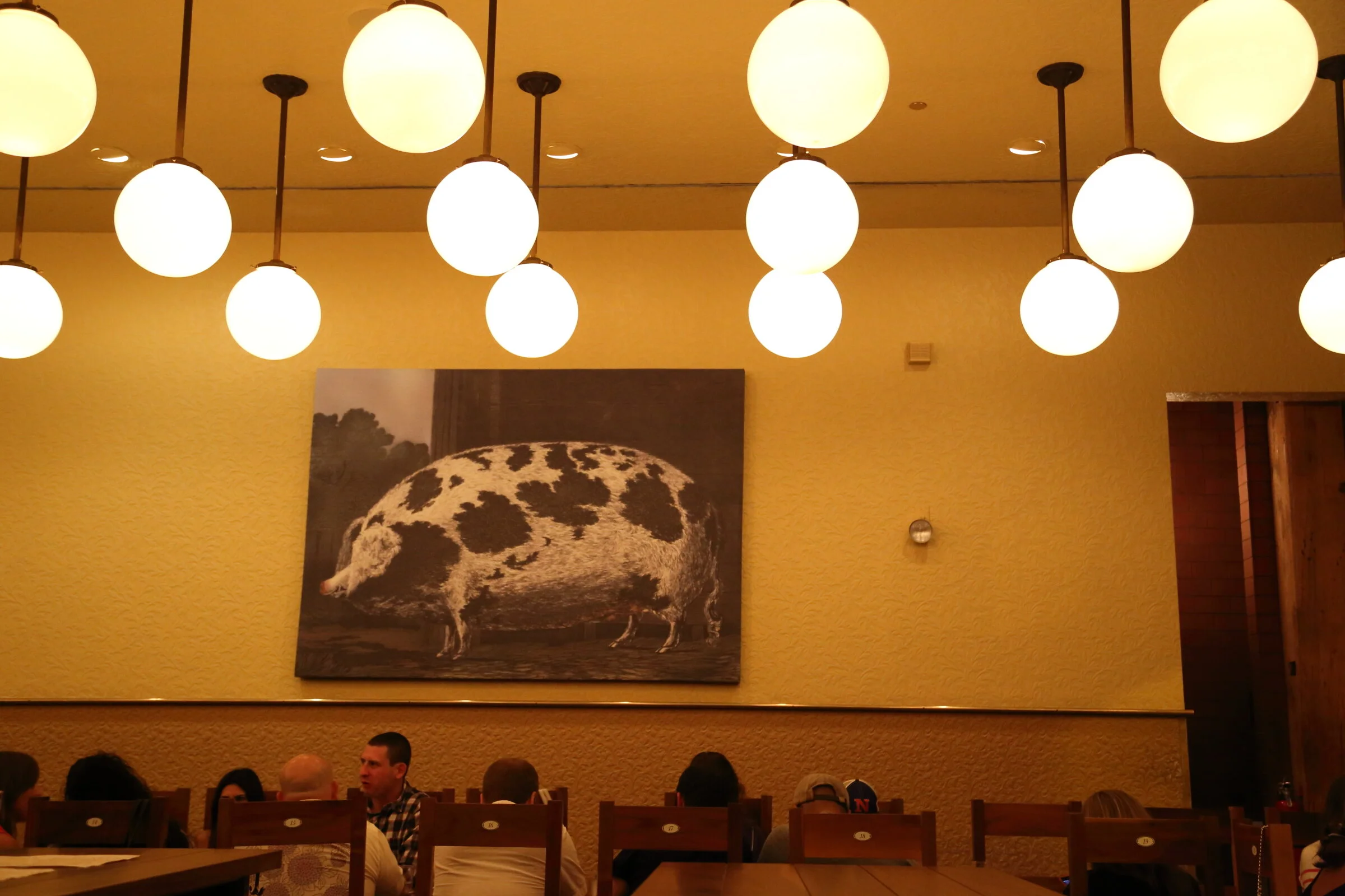 Chicago, Illinois 2016