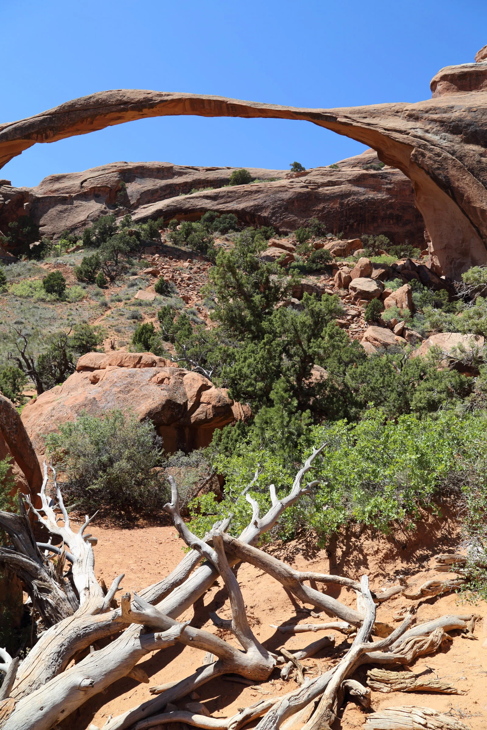 Arches National Park, Utah 2018