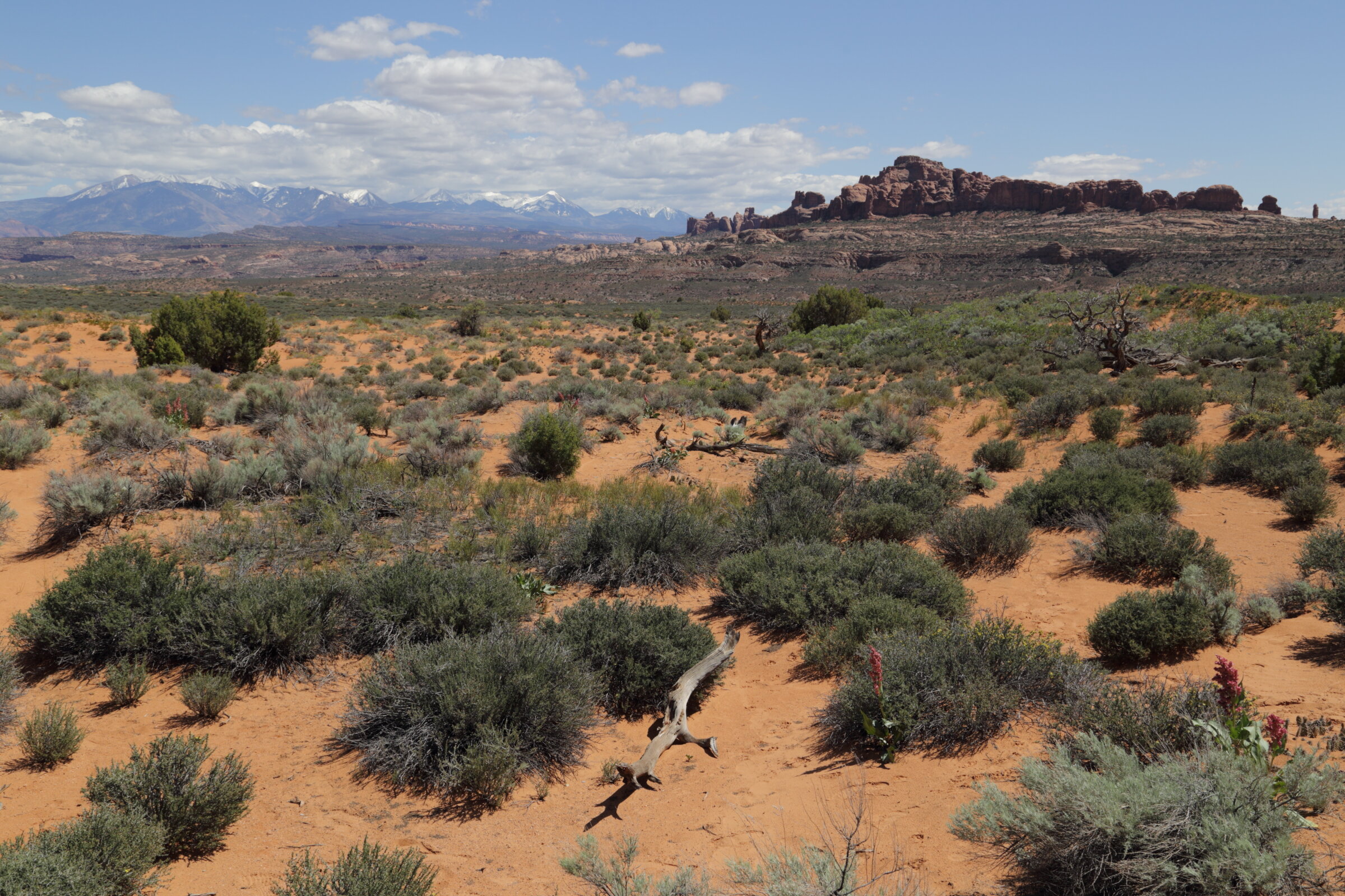 Arches National Park, Utah 2018