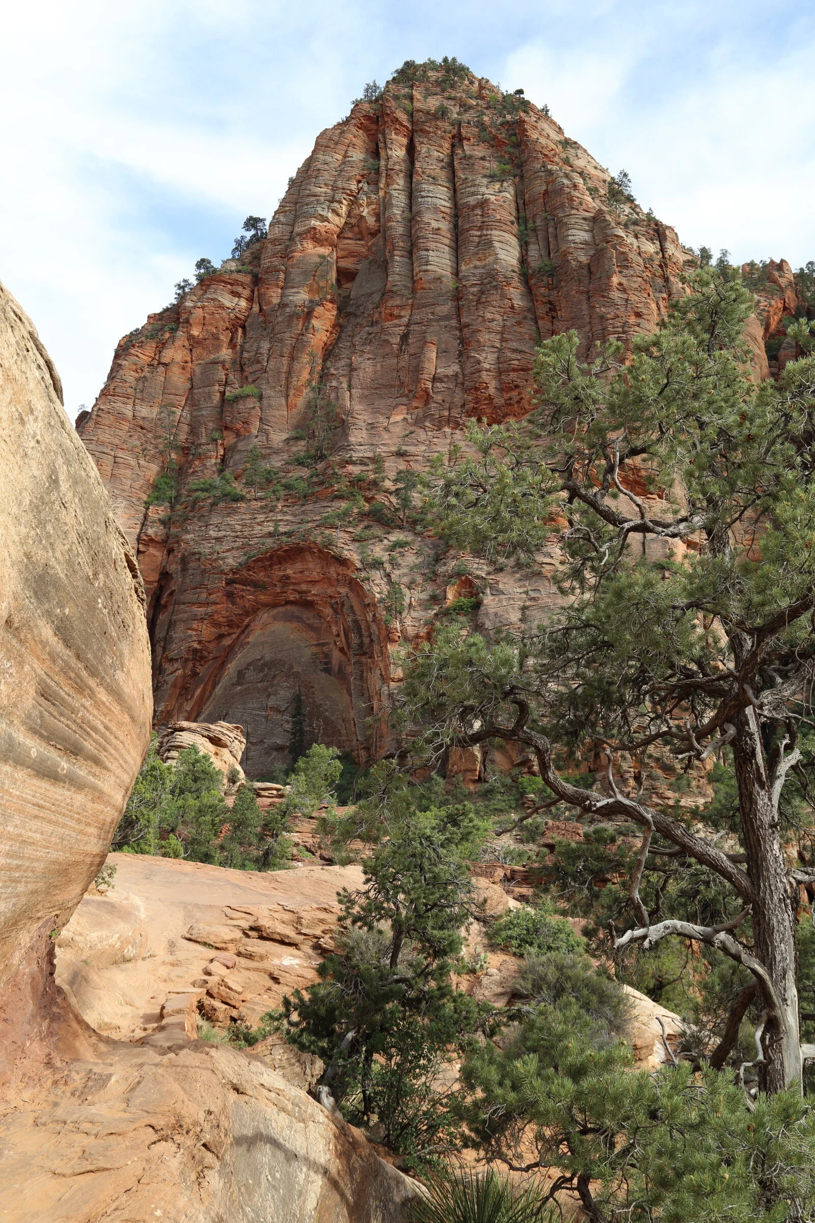 Zion National Park, Utah 2018 