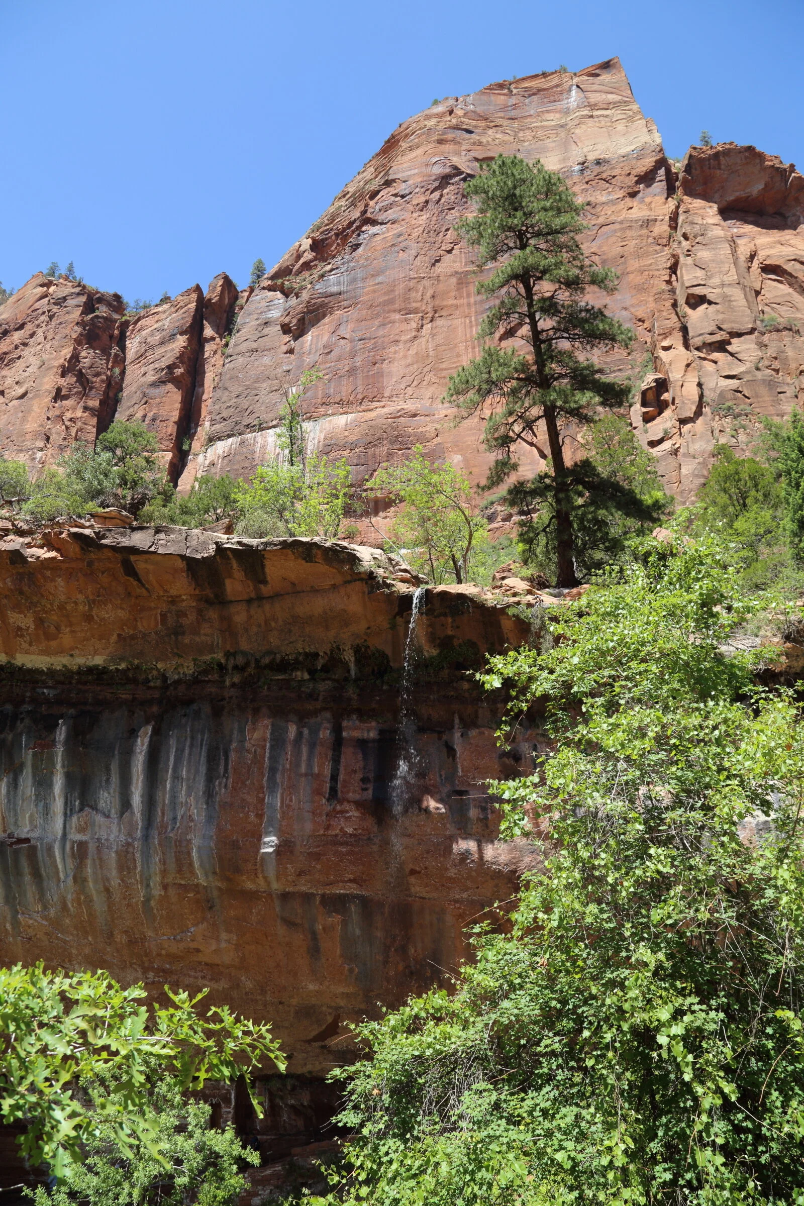 Zion National Park, Utah 2018