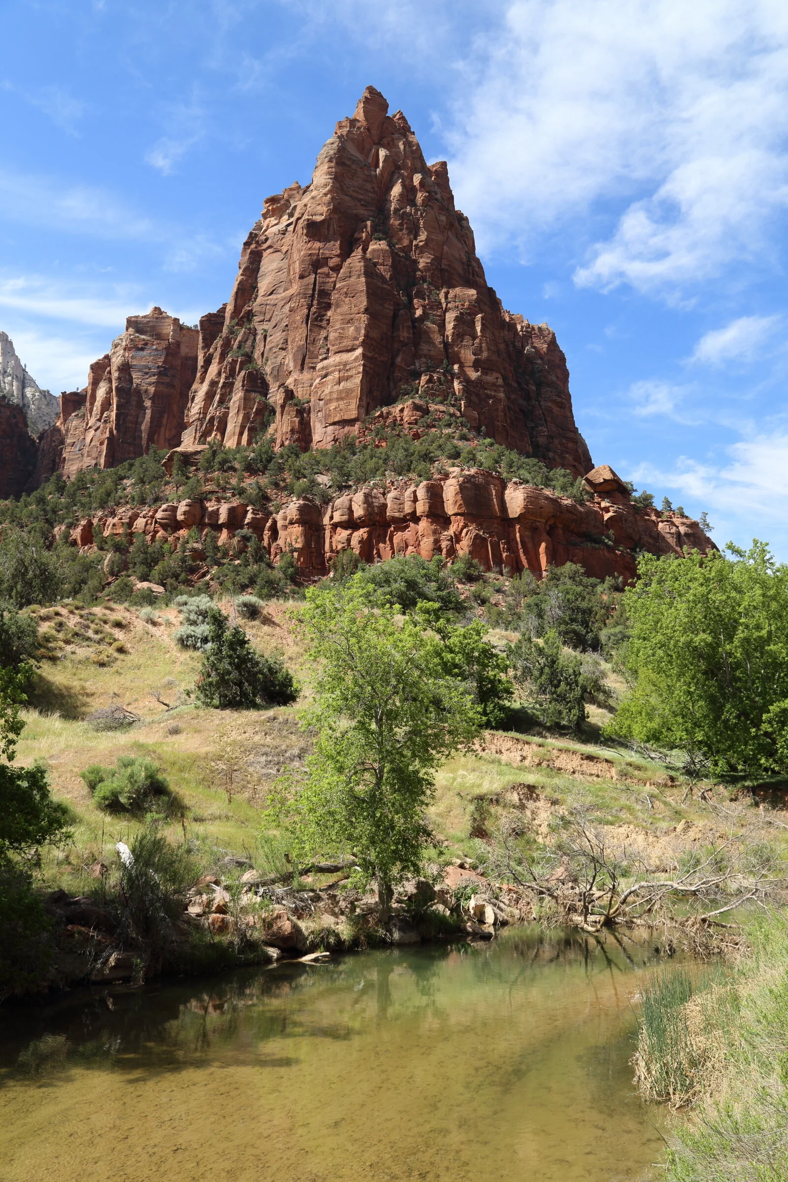 Zion National Park, Utah 2018