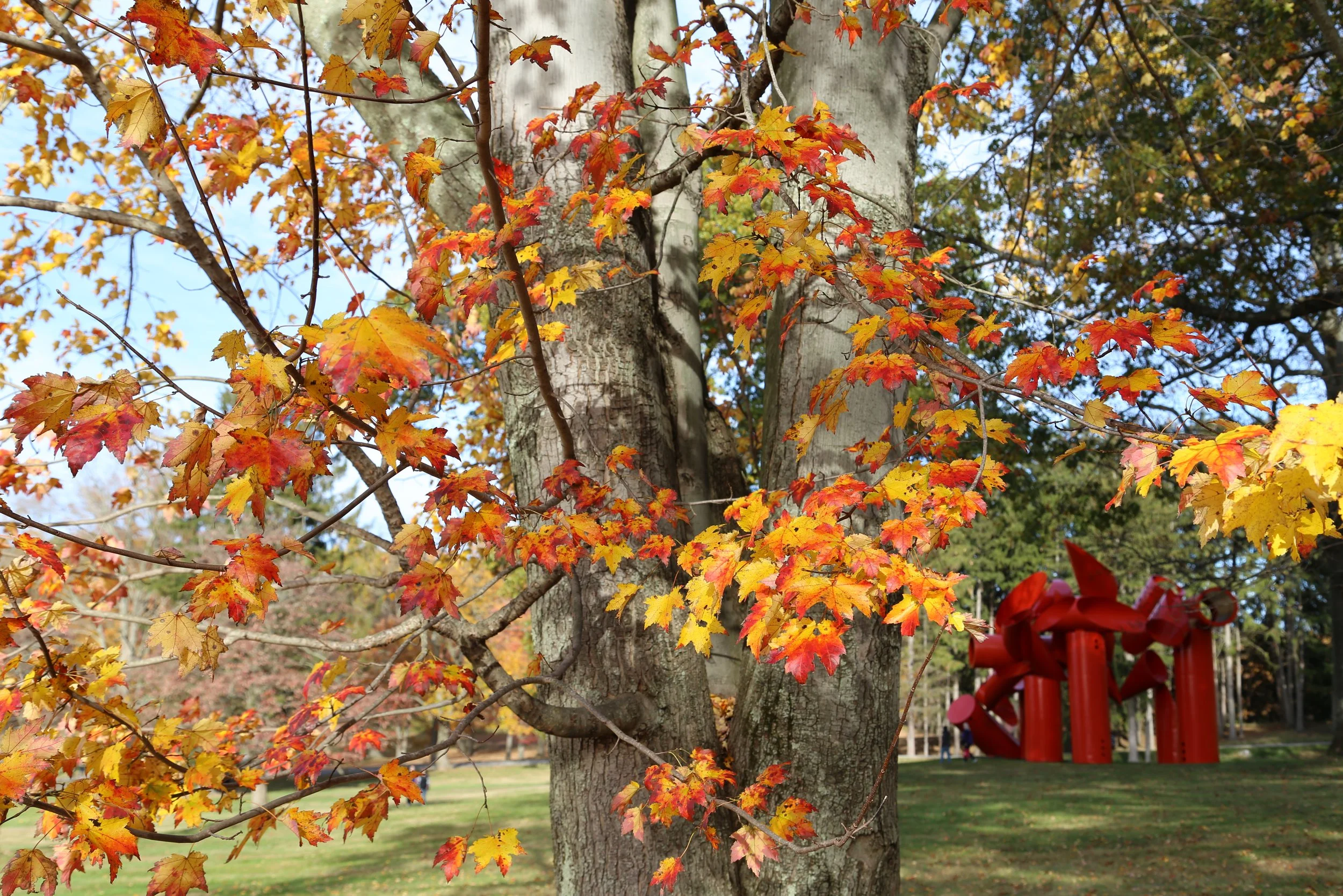 Storm King, Windsor NY 2019