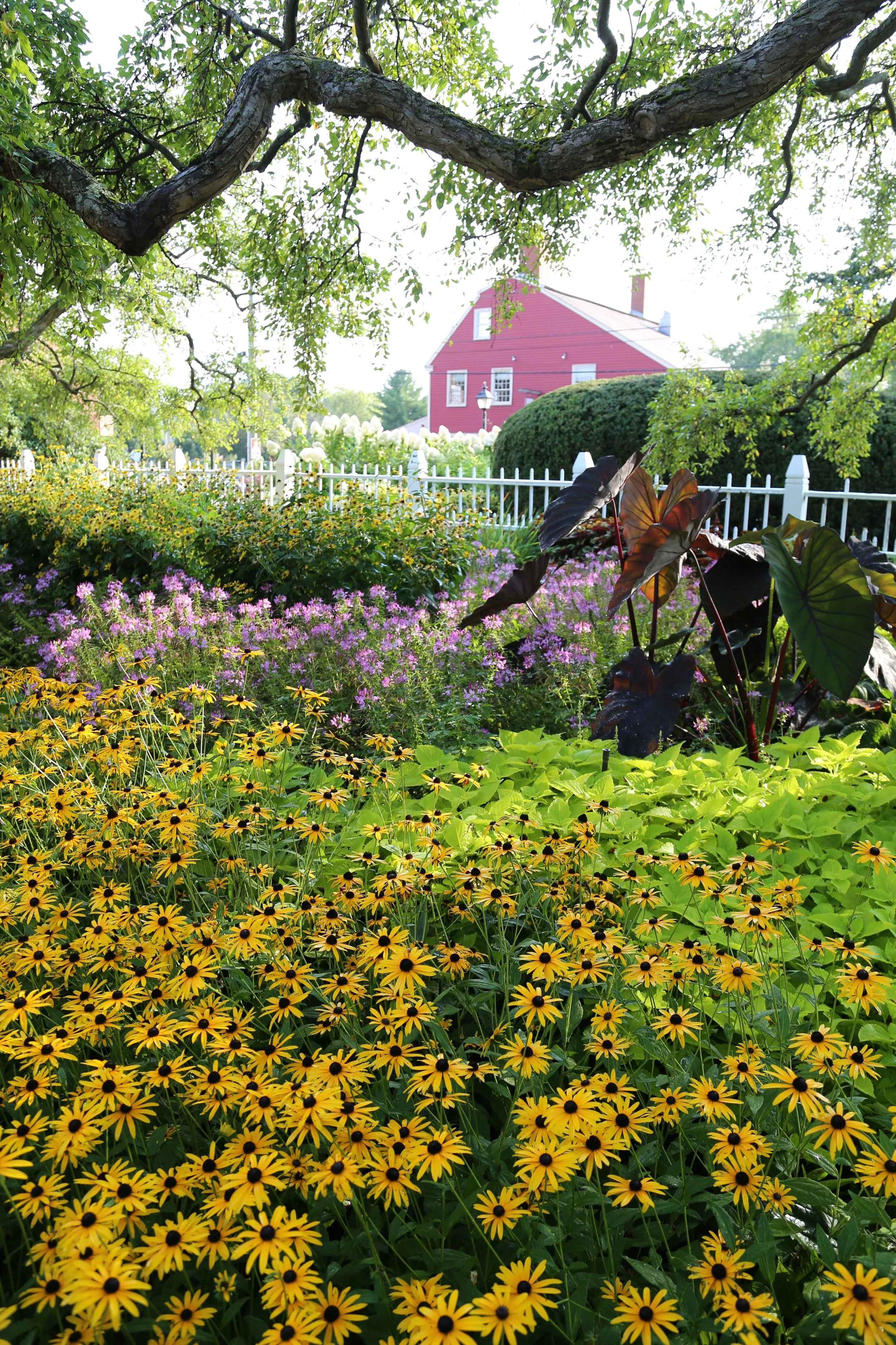 Portsmouth, New Hampshire 2019