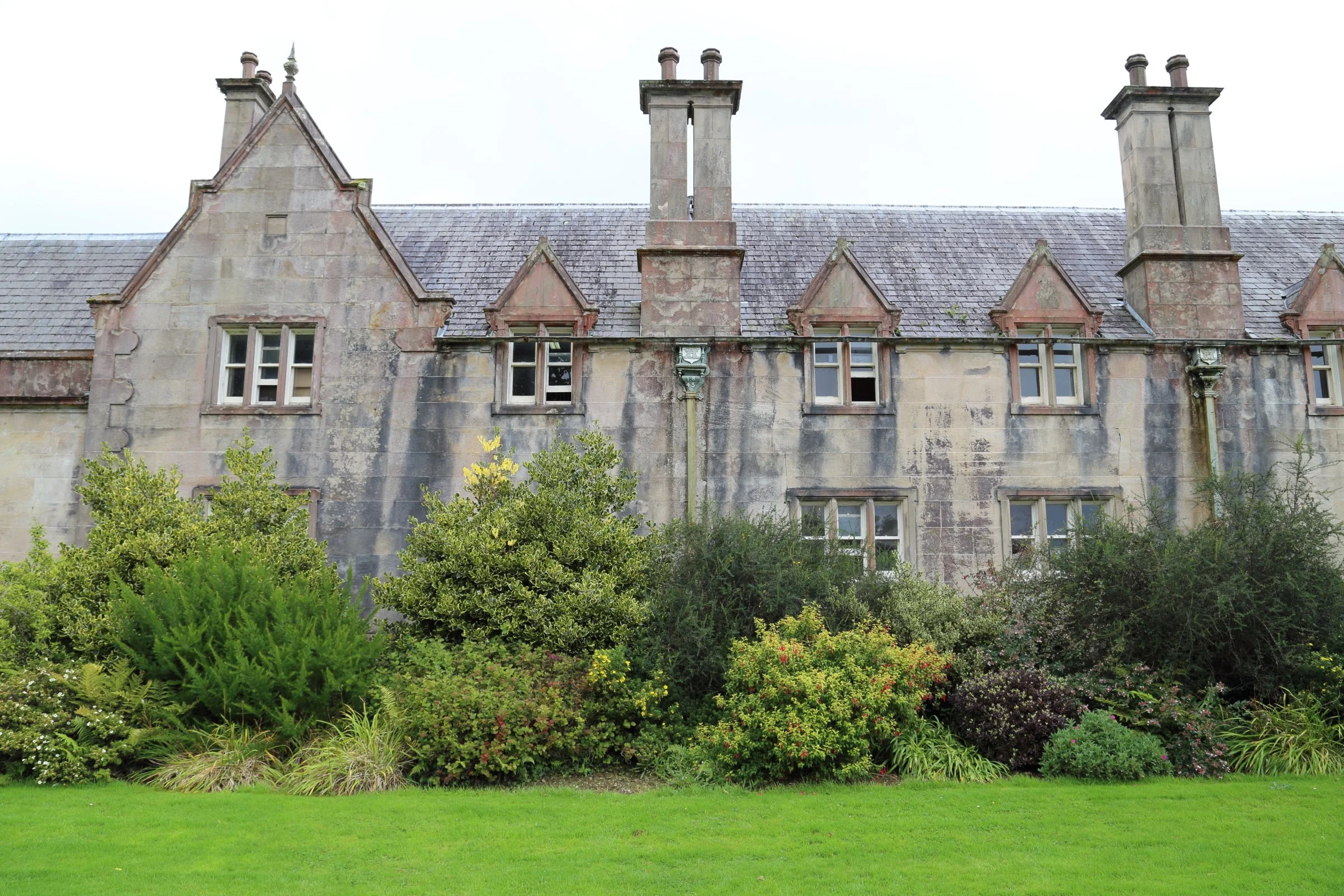 Killarney National Park, Ireland 2016