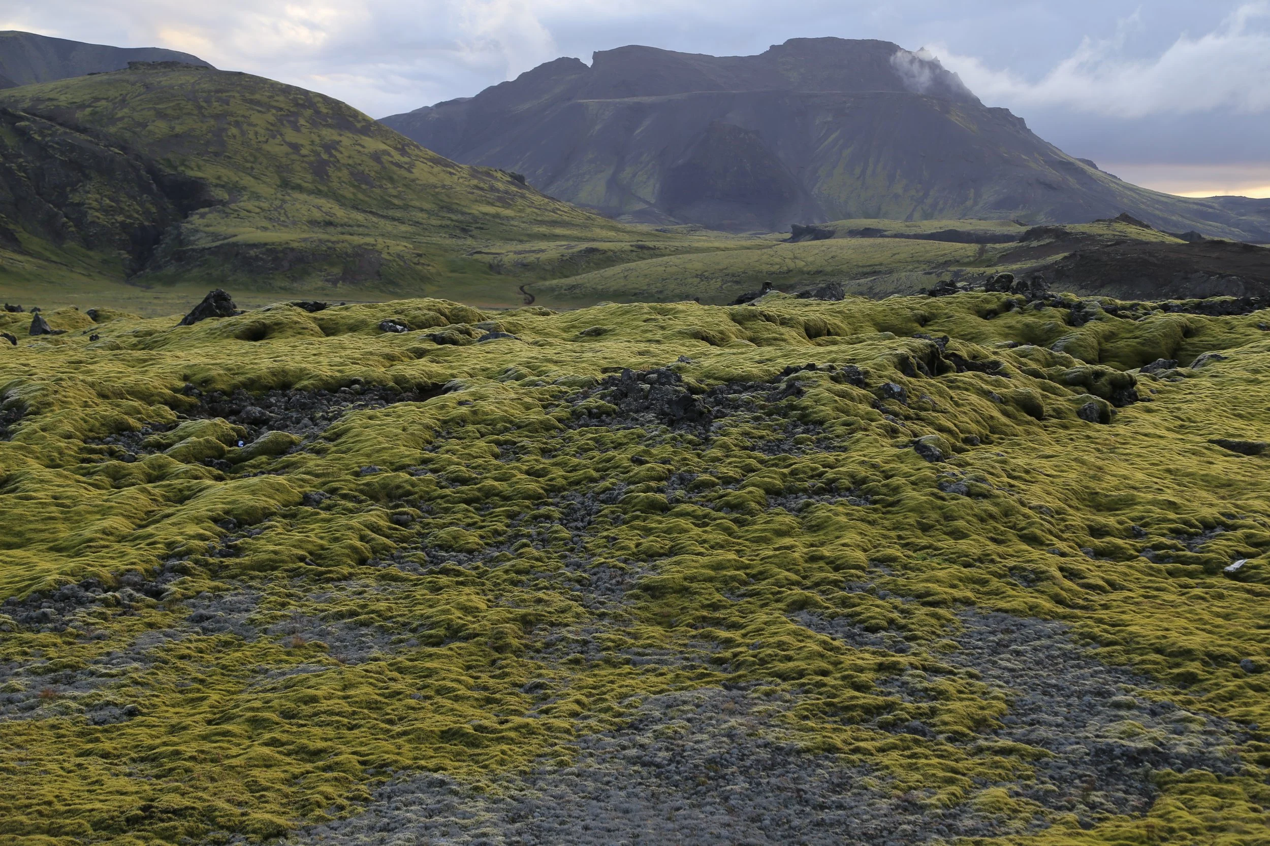 West Coast, Iceland 2024