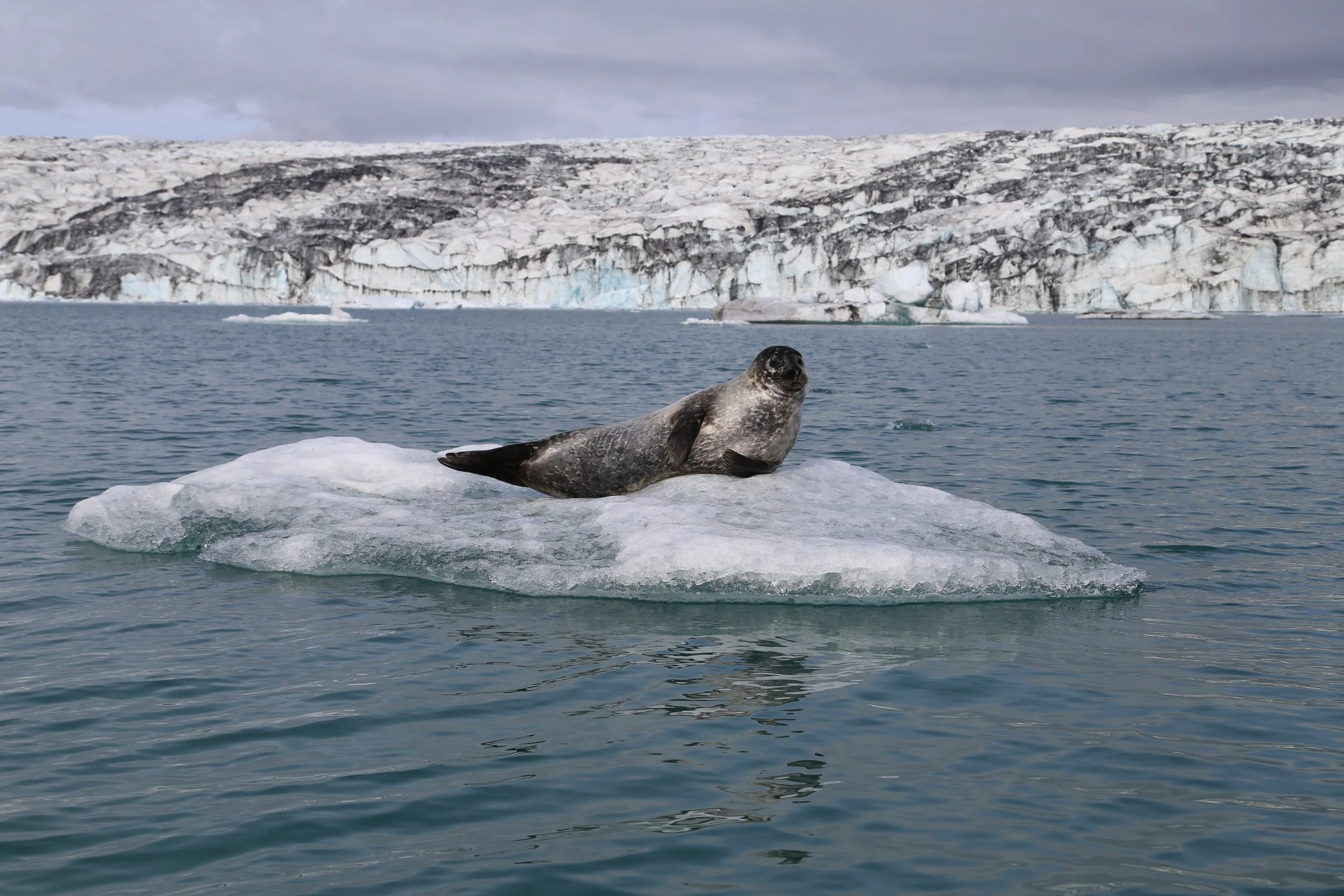Jokulsarlon Glacier Lagoon, Iceland 2023
