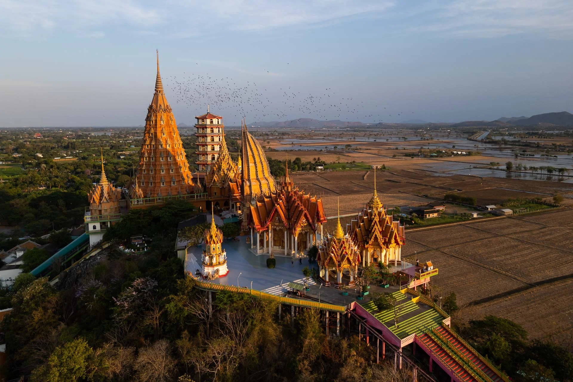 DJI_0540__250304_.jpg
