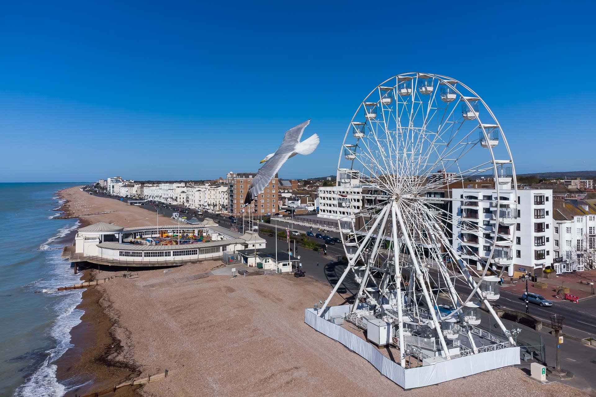 DJI_0262_070521__.jpg