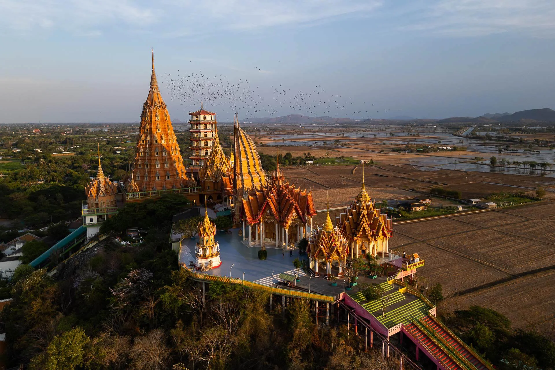 DJI_0540__250304__040325__.jpg
