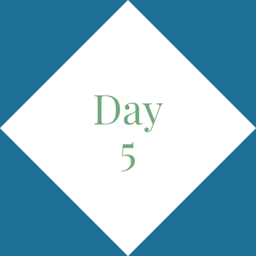 Day 5: Evaluating your body 