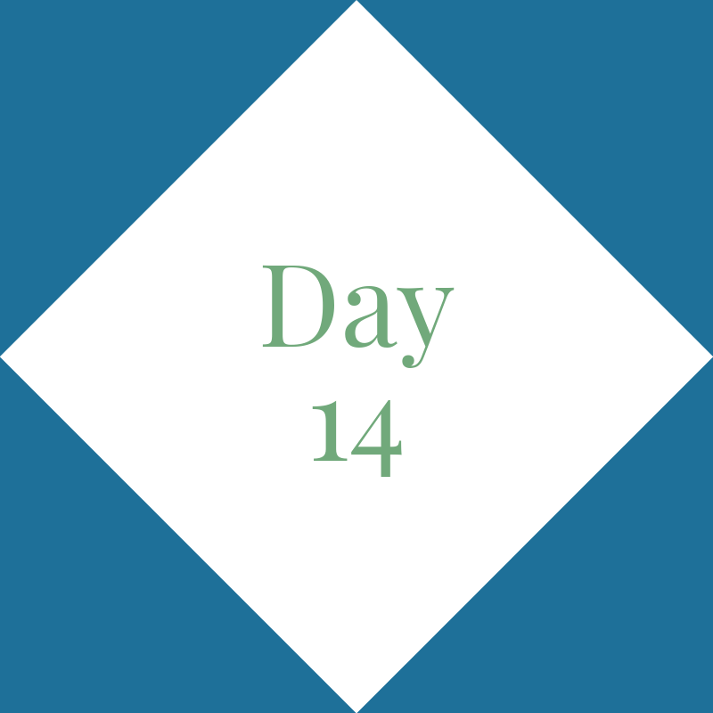 Day 14: Spine/Neck &amp; Shoulder