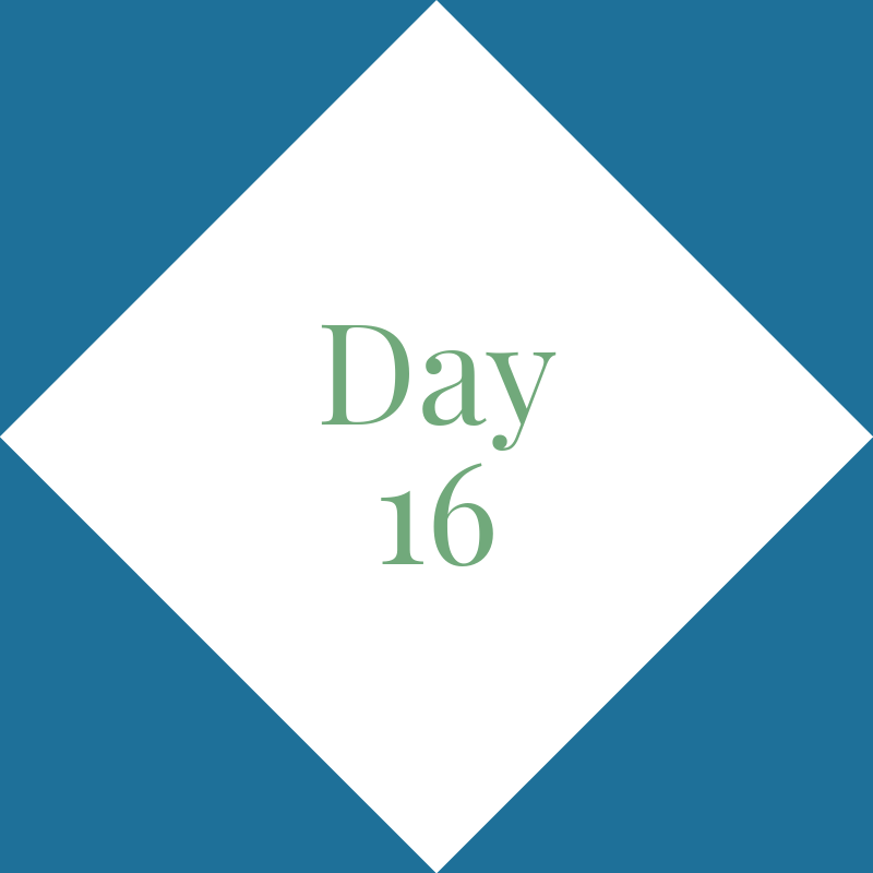 Day 16: Warm-Up &amp; Cool Down Practice Together