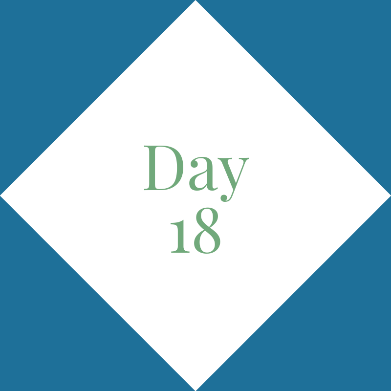 Day 18: Steps Evaluation 