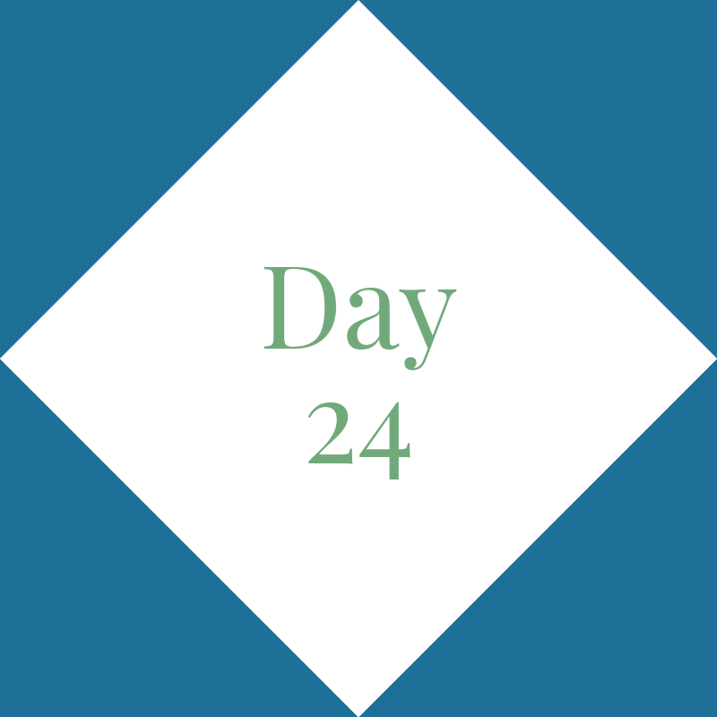 Day 24: Rest &amp; Recovery! 