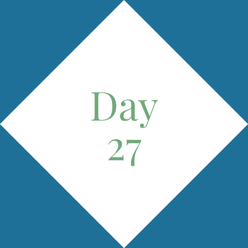 Day 27: Rest Day