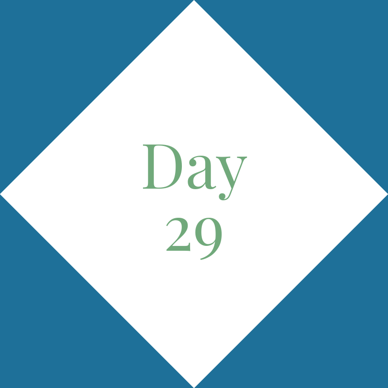 Day 29: The core!
