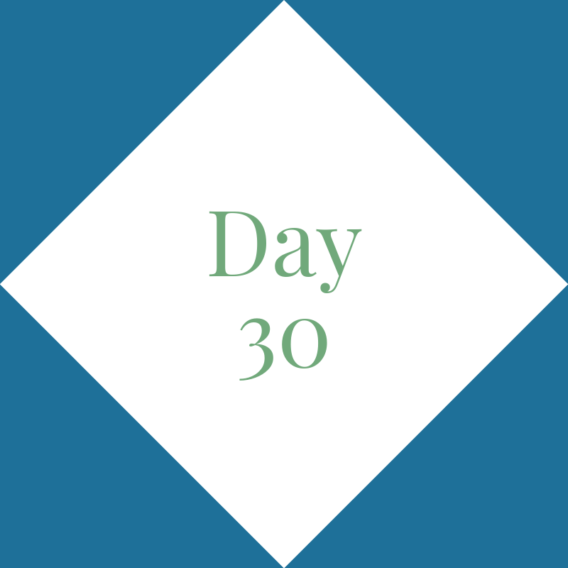Day 30: Celebrate!